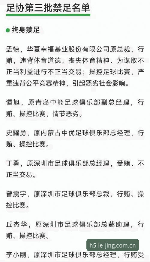 足协第三批禁足名单详解：65人受罚背后的足球乱象与治理路径